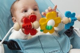 eng_pl_BABYBJORN-Toy-for-Bouncer-Flying-Friends-2112_3-min